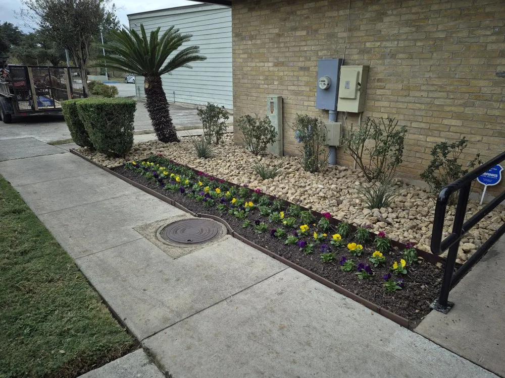 Expert landscape installation experts serving Selma, TX - Alfa and Omega Lawnscaping
