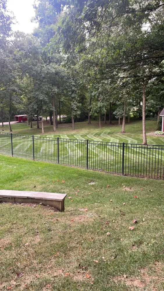 Professional landscape installation in Indianapolis, IN - ALFA G LAWN CARE