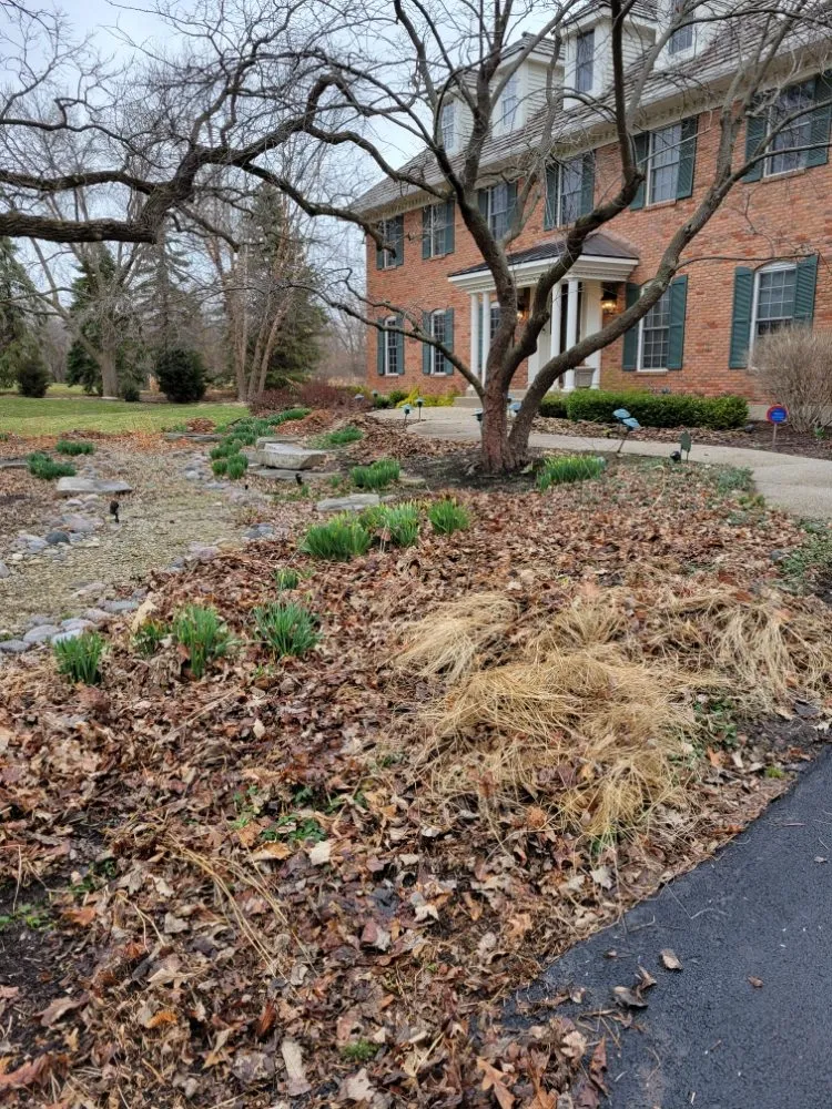 Reliable lawn care service for homes across Round Lake Beach, IL - Alfa Renovations