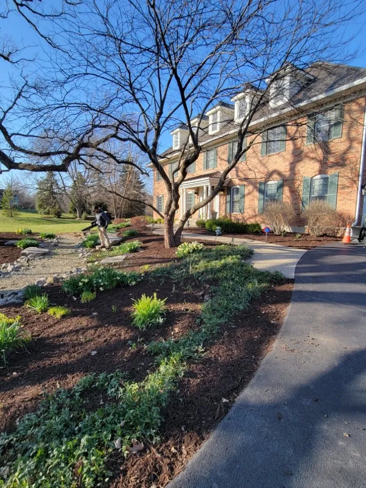 Top-rated yard cleanup service in Round Lake Beach, IL by Alfa Renovations