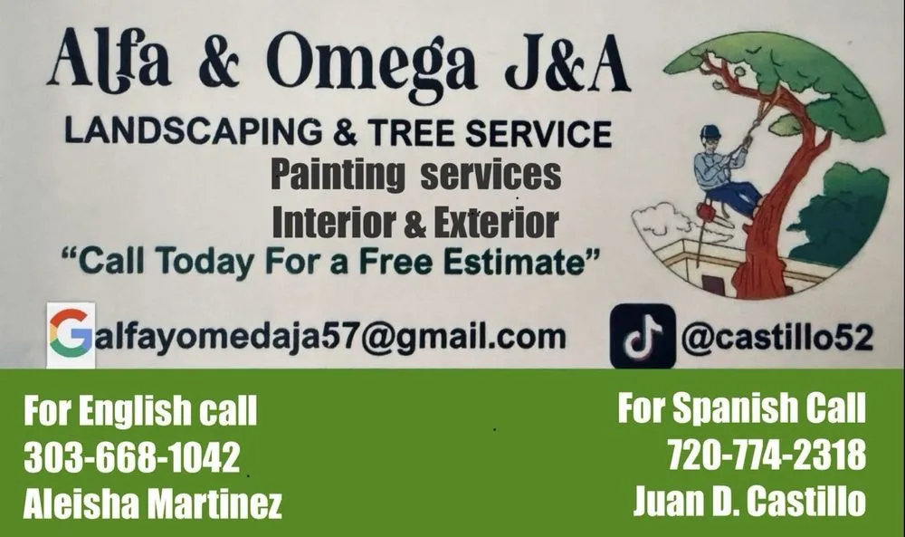 Expert yard cleanup service for homes across Denver, CO - Alfa Y Omega J&A Landscaping & Tree Service