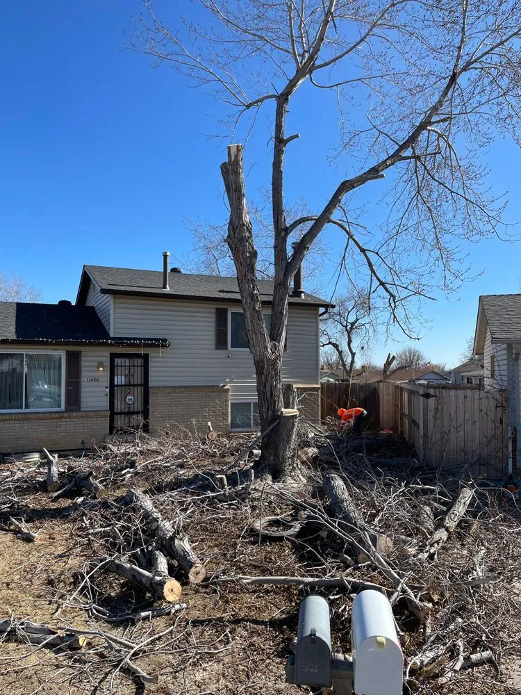 Top-rated yard cleanup service for beautiful yards across Denver, CO - Alfa Y Omega J&A Landscaping & Tree Service