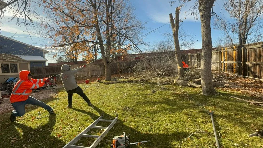 Custom landscaping services near you in Denver, CO by Alfa Y Omega J&A Landscaping & Tree Service