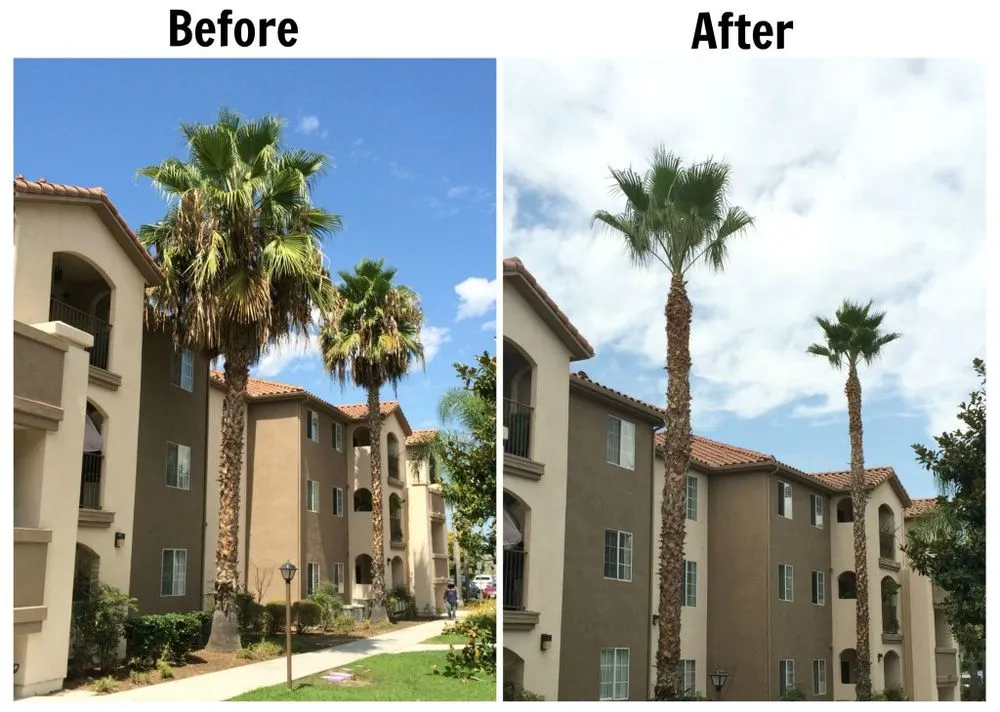 Affordable residential landscaping experts serving McAllen, TX - Alfariver Landscaping