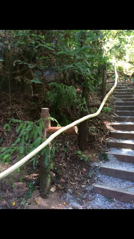 Local outdoor landscaping experts serving Windsor, CA - Alfaro Construction