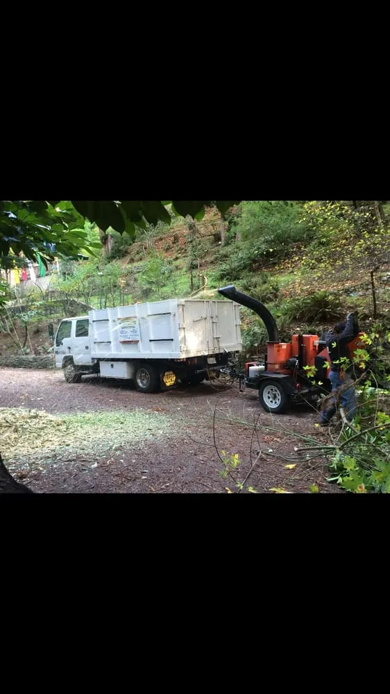 Custom yard cleanup service experts serving Windsor, CA - Alfaro Construction