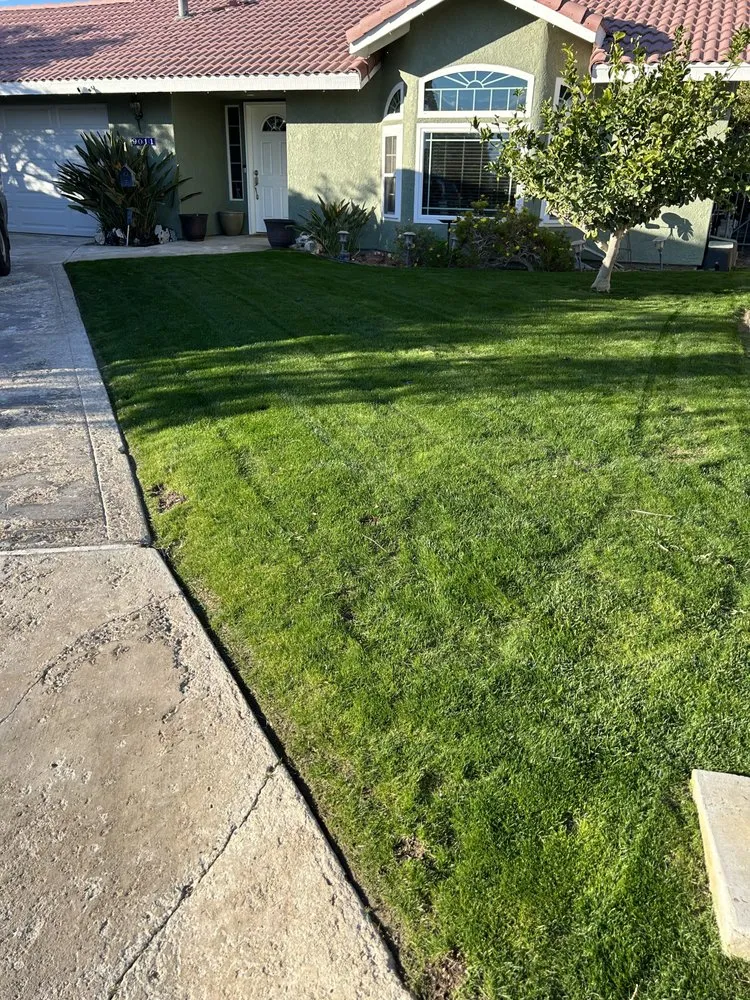Affordable yard cleanup service for year-round maintenance in Desert Hot Springs, CA by Alfaro Gardening