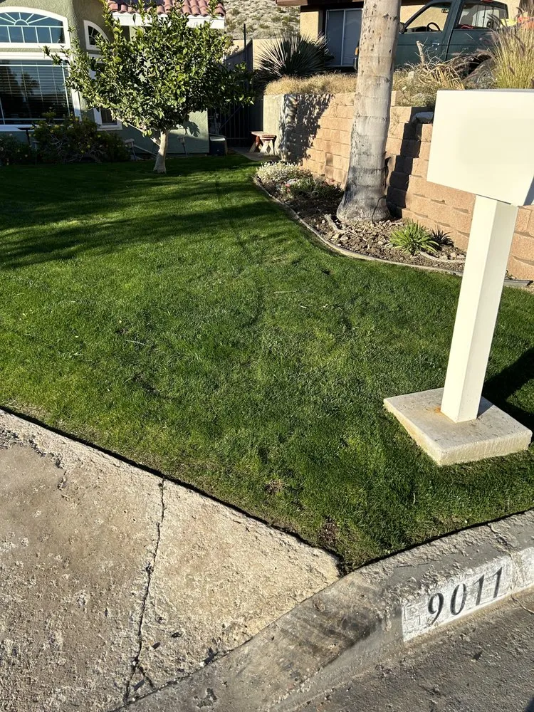 Reliable lawn mowing service for outdoor upgrades across Desert Hot Springs, CA - Alfaro Gardening