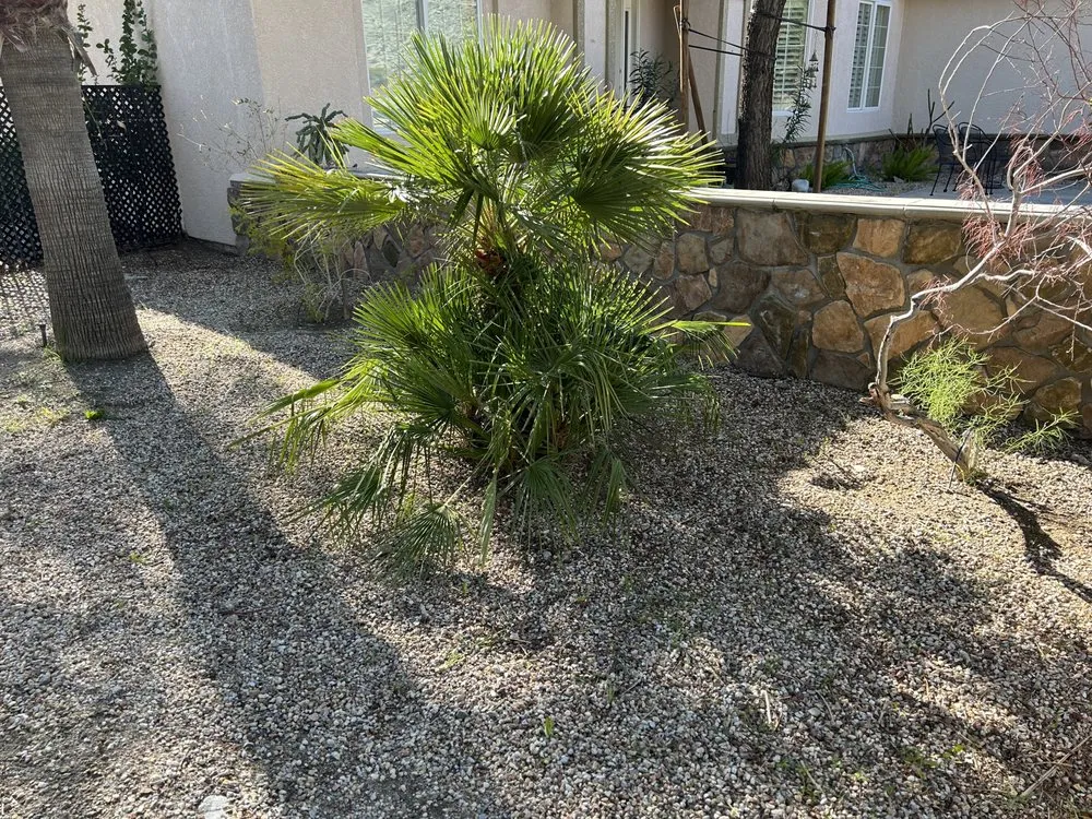 Expert landscaping services near you across Desert Hot Springs, CA - Alfaro Gardening