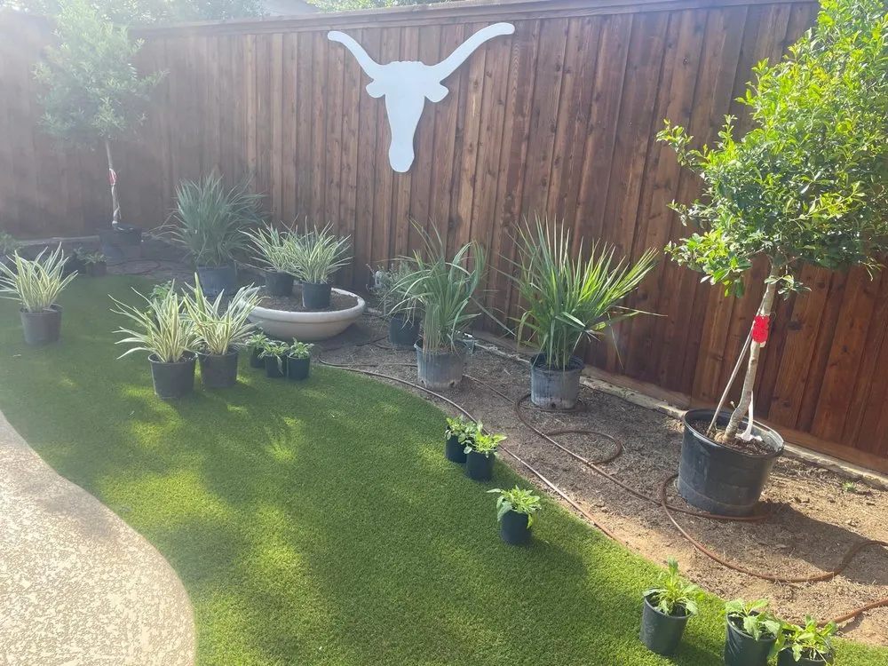 Affordable yard cleanup service for residential properties across Lewisville, TX - Alfaro Landscaping And Fence Installation