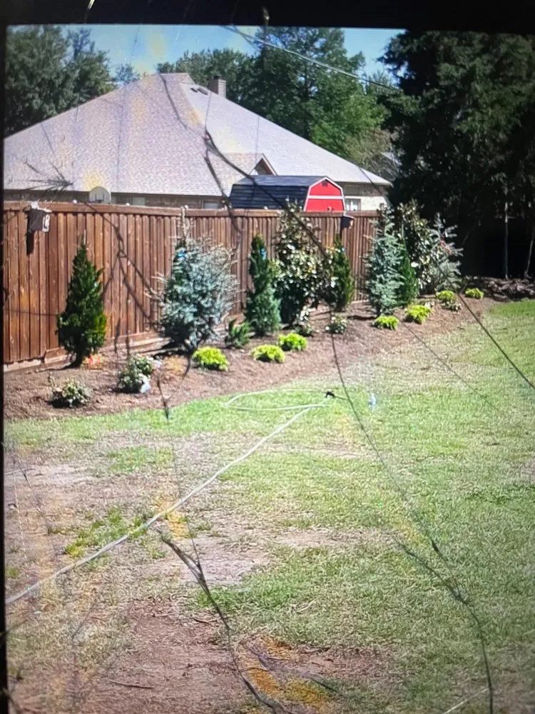Top-rated yard cleanup service in Lewisville, TX - Alfaro Landscaping And Fence Installation