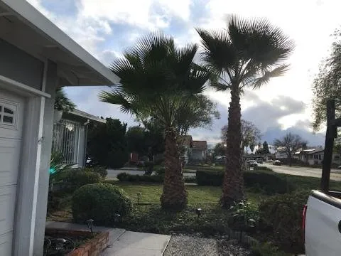 Professional landscape design experts serving Newark, CA - Alfaro Landscaping