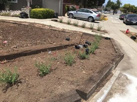 Professional garden landscaping in Newark, CA - Alfaro Landscaping