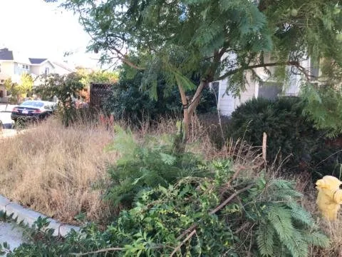 Expert landscaping services for beautiful yards in Newark, CA by Alfaro Landscaping