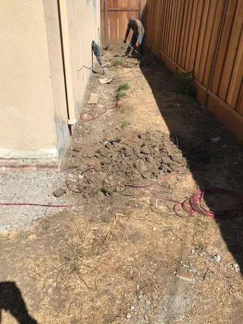 Local yard cleanup service in Newark, CA by Alfaro Landscaping