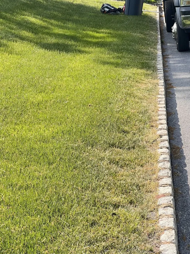 Expert lawn mowing service in Reading, PA - Alfaro Landscaping