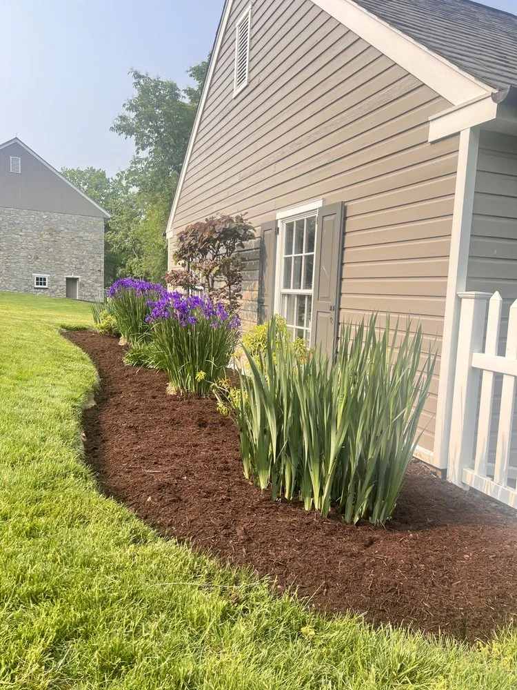 Trusted yard maintenance in Reading, PA - Alfaro Landscaping
