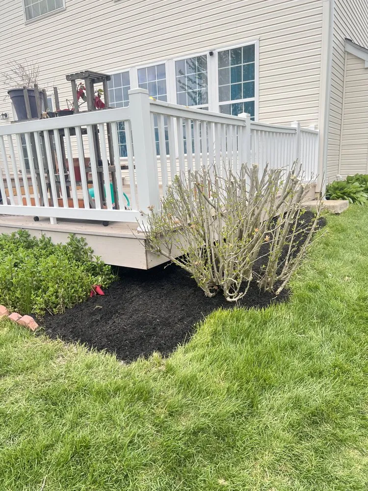 Affordable lawn mowing service in Reading, PA - Alfaro Landscaping