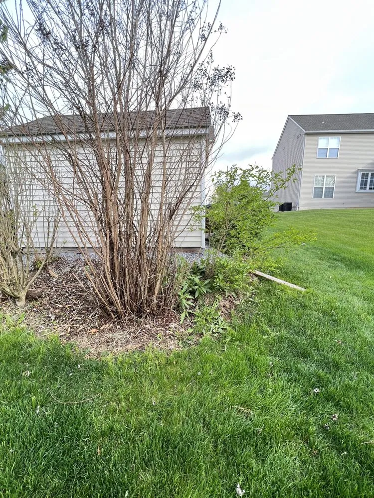 Top-rated residential landscaping in Reading, PA by Alfaro Landscaping