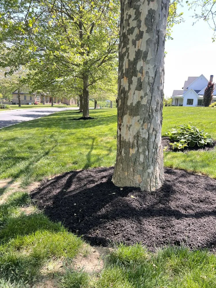 Affordable lawn care service for year-round maintenance across Reading, PA - Alfaro Landscaping