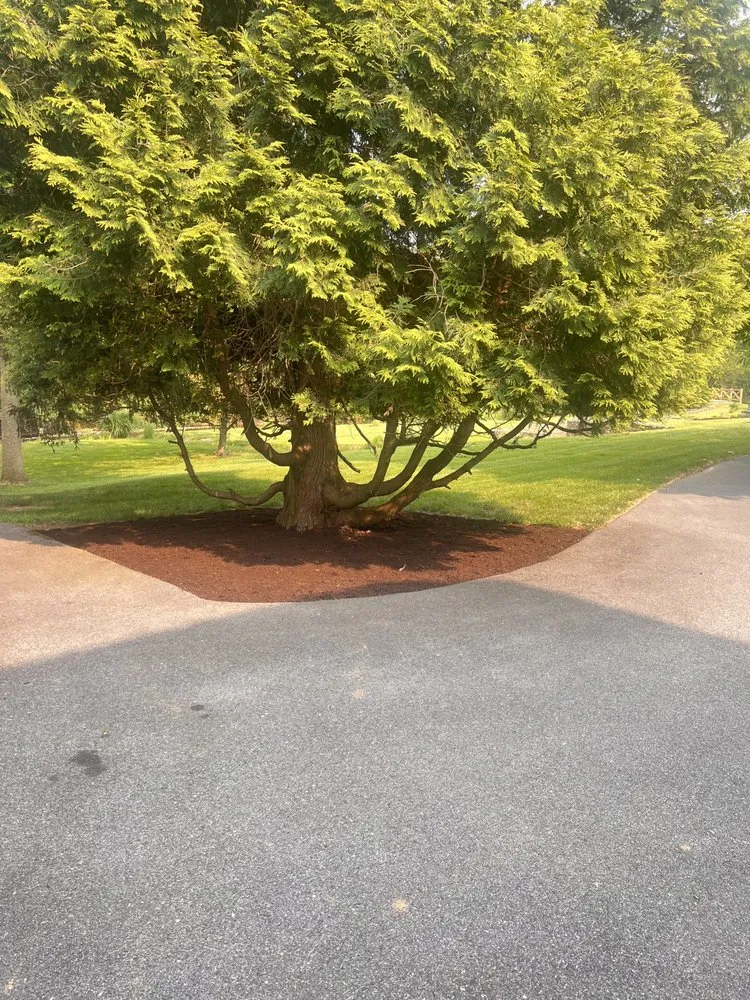 Reliable lawn care service in Reading, PA by Alfaro Landscaping