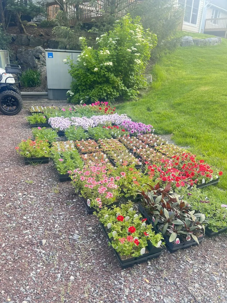 Reliable landscape installation for homes in Reading, PA by Alfaro Landscaping