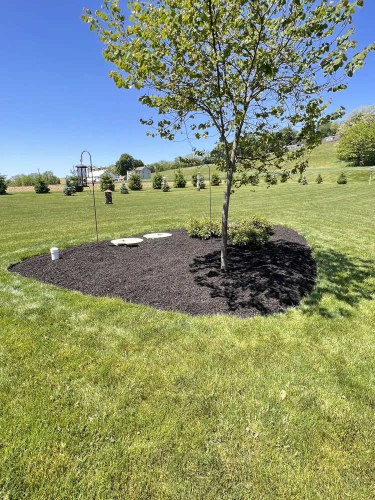 Reliable landscape design for beautiful yards across Reading, PA - Alfaro Landscaping