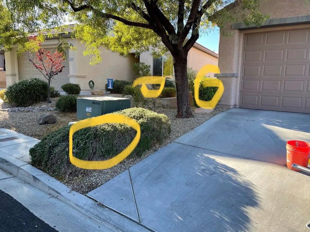 Expert residential landscaping experts serving Las Vegas, NV - Alfaro Lawn Care