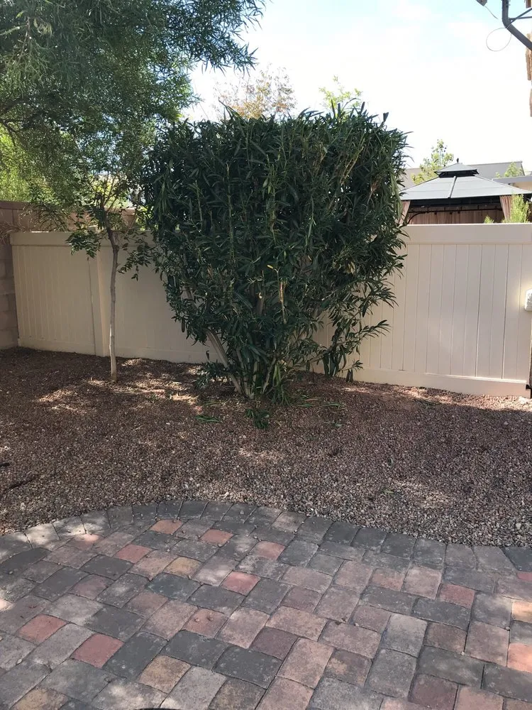 Reliable landscape design in Las Vegas, NV - Alfaro Lawn Care