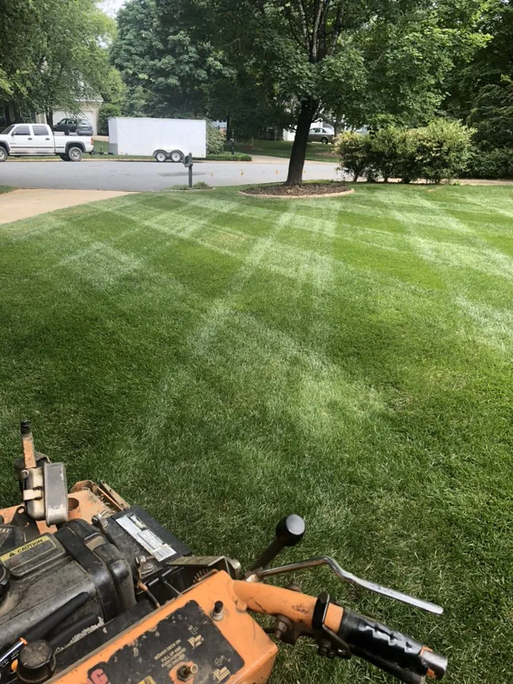 Custom yard cleanup service for beautiful yards across Wingate, NC - Alfaro’s Lawncare