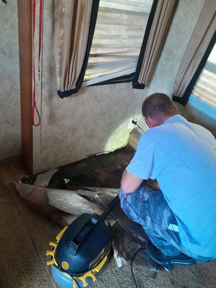 Expert lawn care service in Nokomis, FL by Alfonso Handyman Solutions