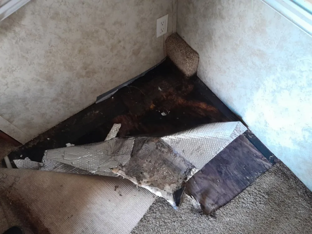 Trusted yard maintenance in Nokomis, FL - Alfonso Handyman Solutions