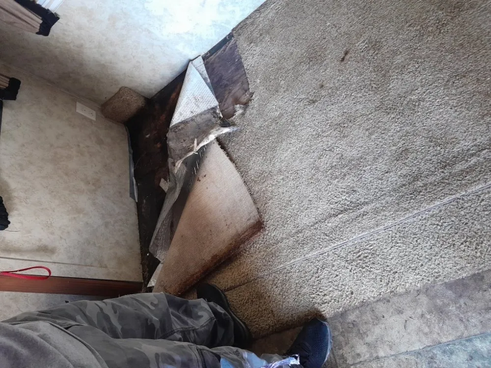 Local yard maintenance in Nokomis, FL - Alfonso Handyman Solutions