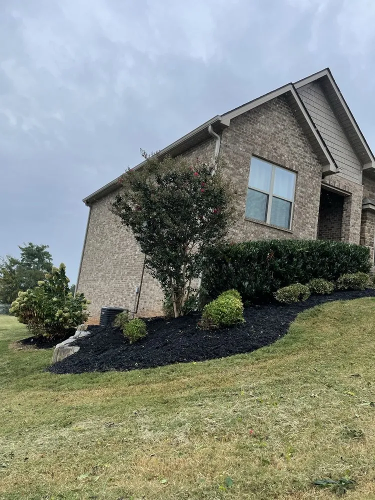 Custom yard cleanup service for homes in Mascot, TN by Alfonso Juan Landscaping