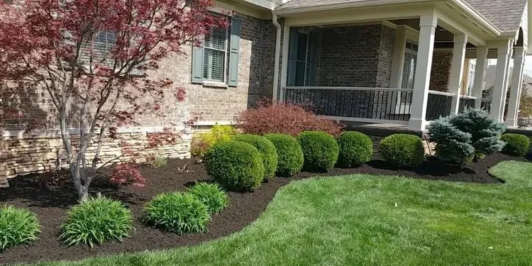 Affordable lawn care service in Mascot, TN by Alfonso Juan Landscaping