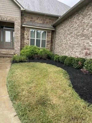 Alfonso Juan Landscaping