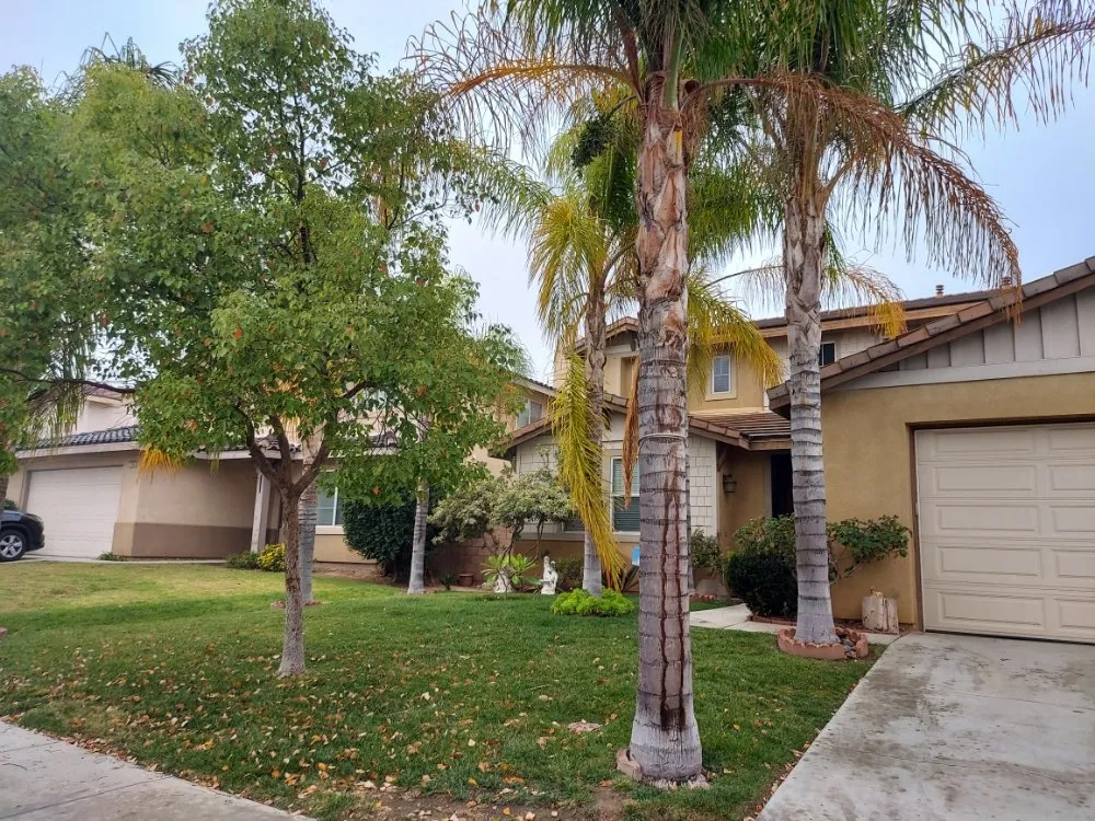 Custom lawn care service for residential properties across Homeland, CA - Alfonso Landscape