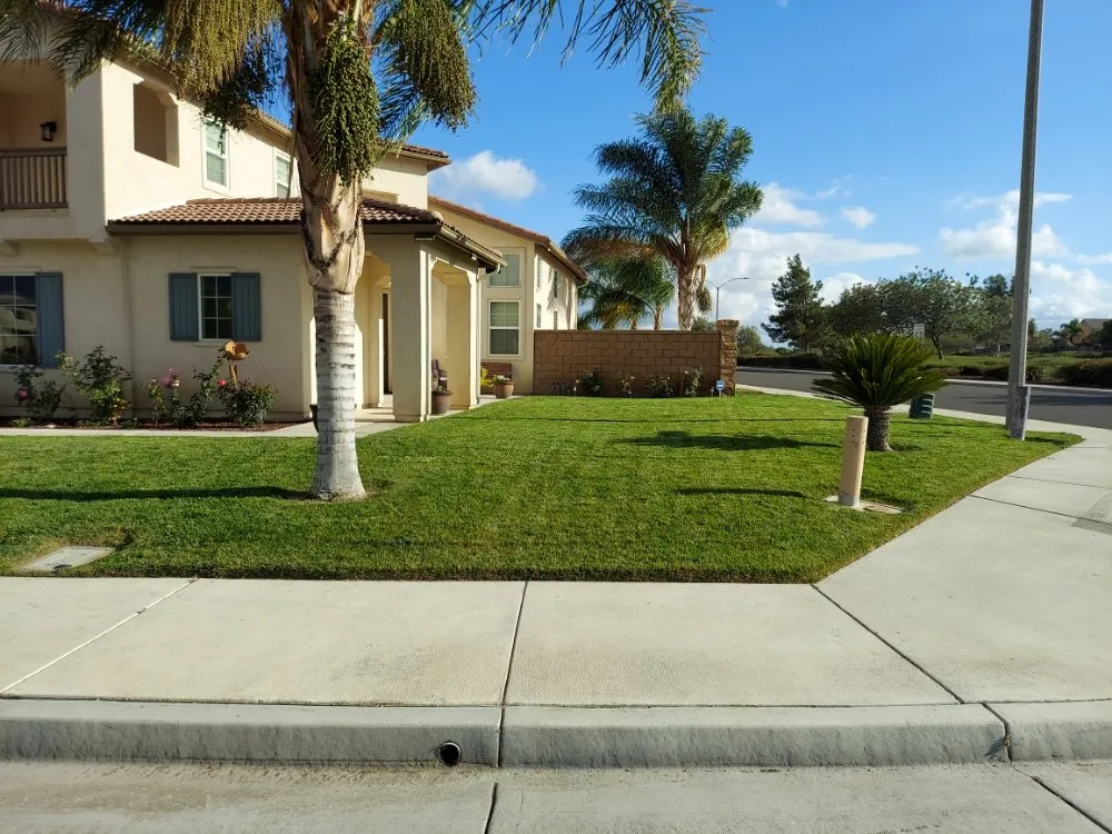 Top-rated lawn mowing service for homes in Homeland, CA by Alfonso Landscape