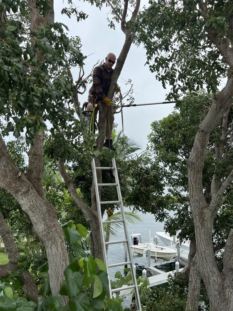 Custom yard maintenance with custom design across Key Largo, FL - Alfonso Landscaping Enterprises