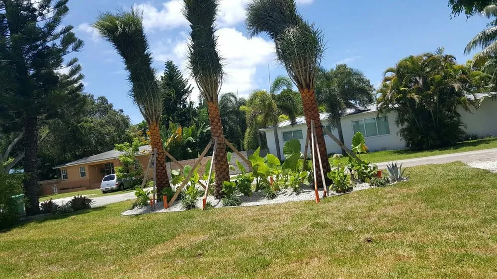 Custom lawn mowing service for residential properties in Key Largo, FL by Alfonso Landscaping Enterprises