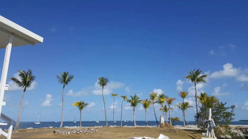 Local yard maintenance for outdoor upgrades in Key Largo, FL by Alfonso Landscaping Enterprises