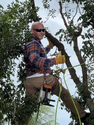 Alfonso Landscaping Enterprises