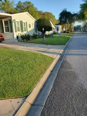 Alfonso Lawn & Landscaping