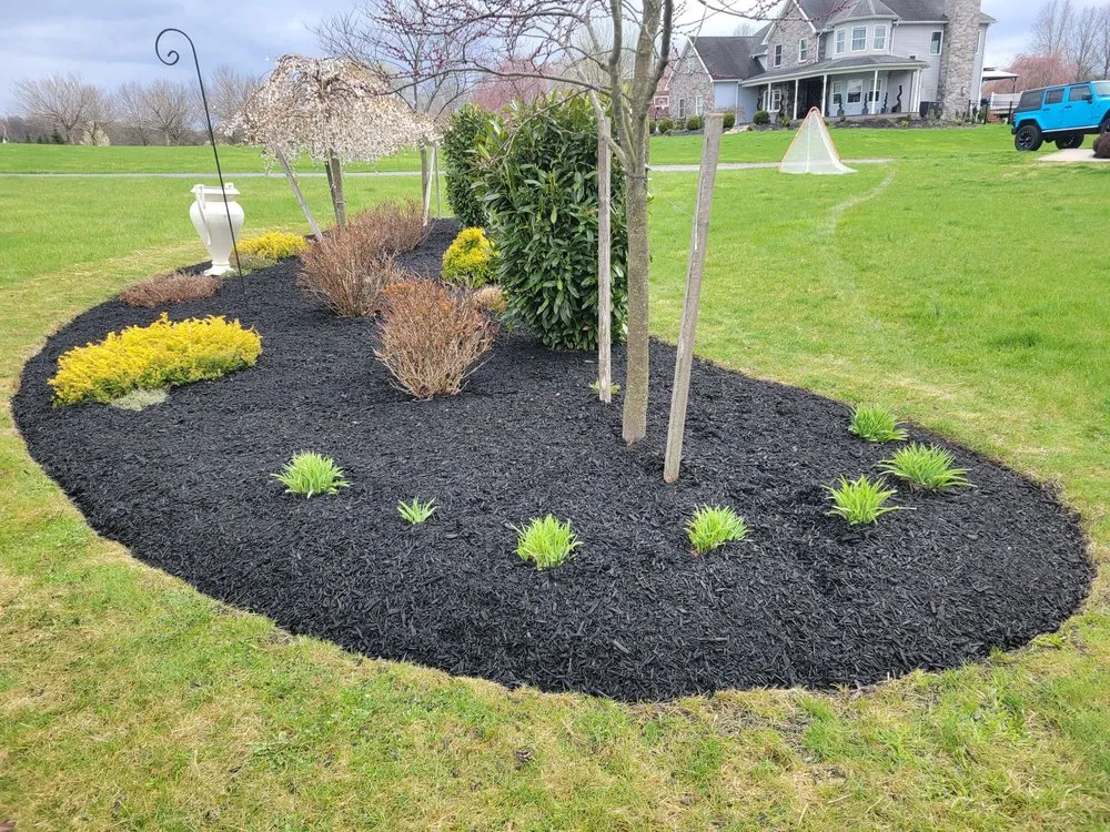 Affordable lawn mowing service experts serving West York, PA - Alfonso's Landscaping