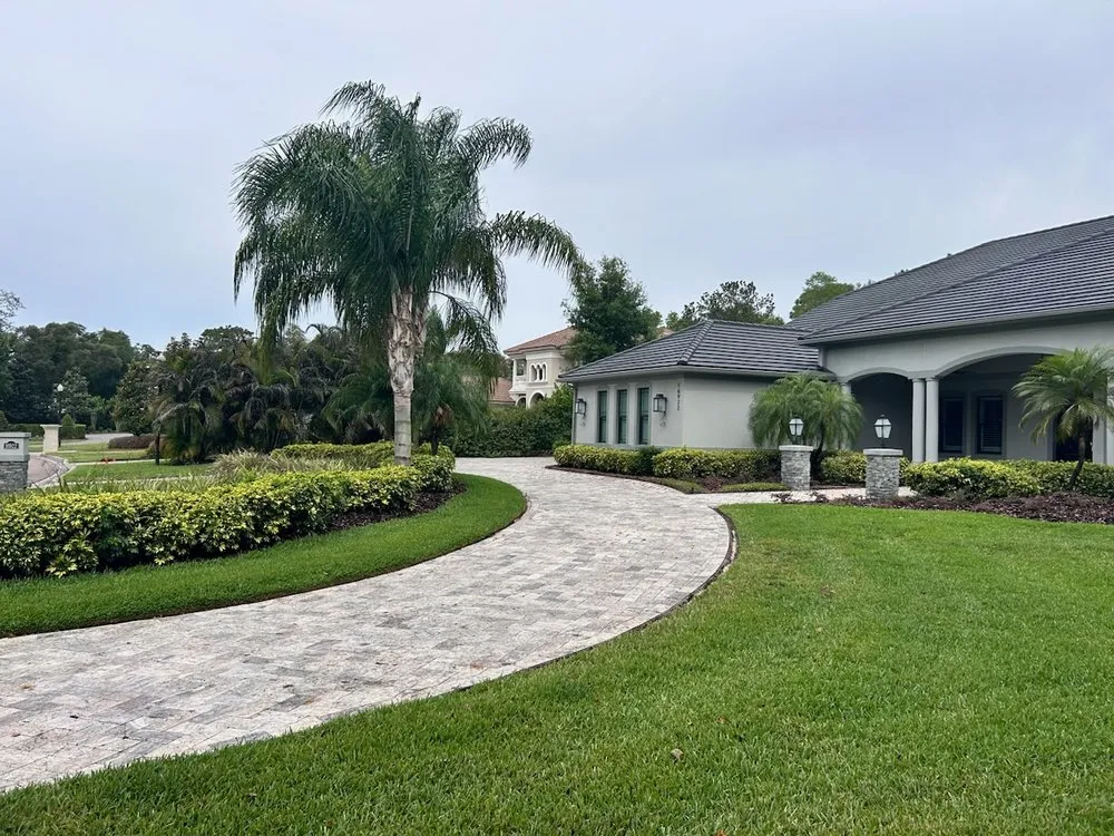 Expert yard maintenance in Tampa, FL - Alfonso's lawn and landscaping