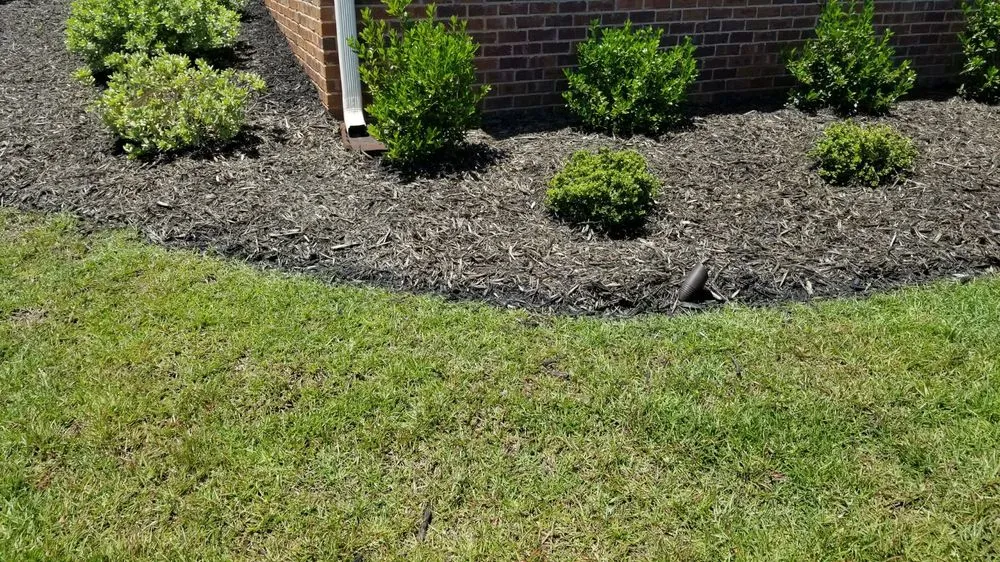 Professional outdoor landscaping near you across Columbia, SC - Alfonza’s Landscape Super Center