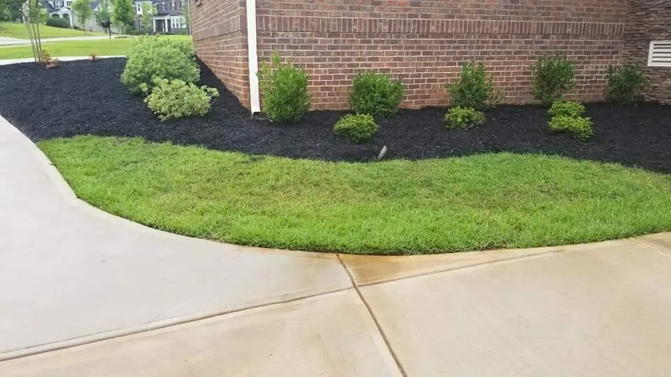 Local residential landscaping in Columbia, SC - Alfonza’s Landscape Super Center