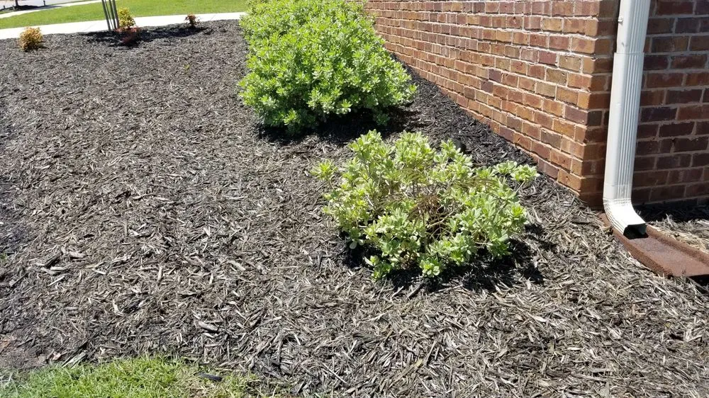 Expert lawn care service in Columbia, SC - Alfonza’s Landscape Super Center