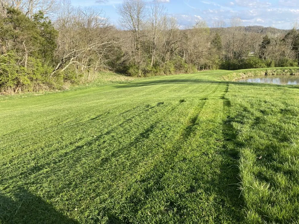 Professional landscaping services in Alexandria, KY - Alford Lawn And Landscaping