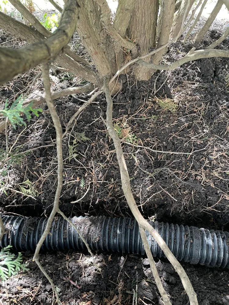 Trusted lawn care service for residential properties across Mundelein, IL - Alfredo and Bertha Landscaping